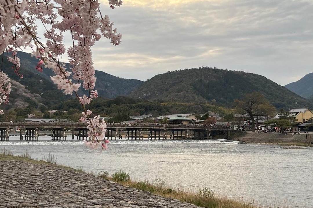 Photo of Others in Arashiyama