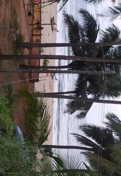 Photo of Others in Hireguthi