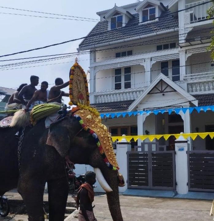 Photo of Others in Fort Kochi