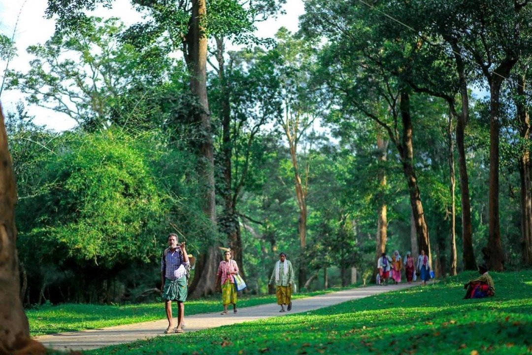 Photo of Others in Sulthan Bathery