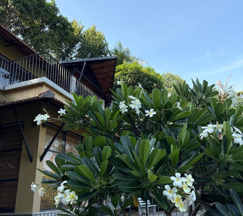 Photo of Outdoor in Quilon