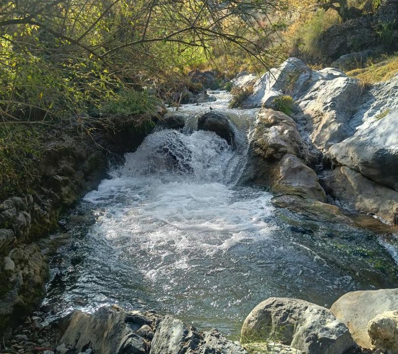 Photo of Others in Mussoorie