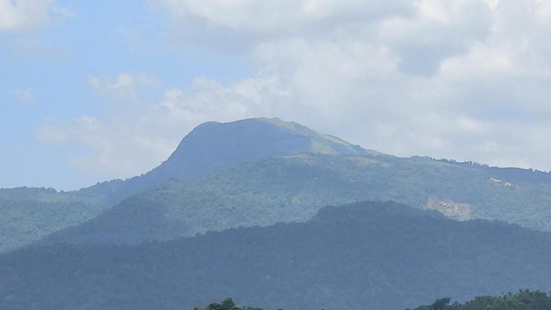Photo of Others in Talipparamba