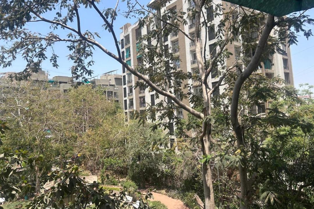 Photo of Others in Ahmedabad