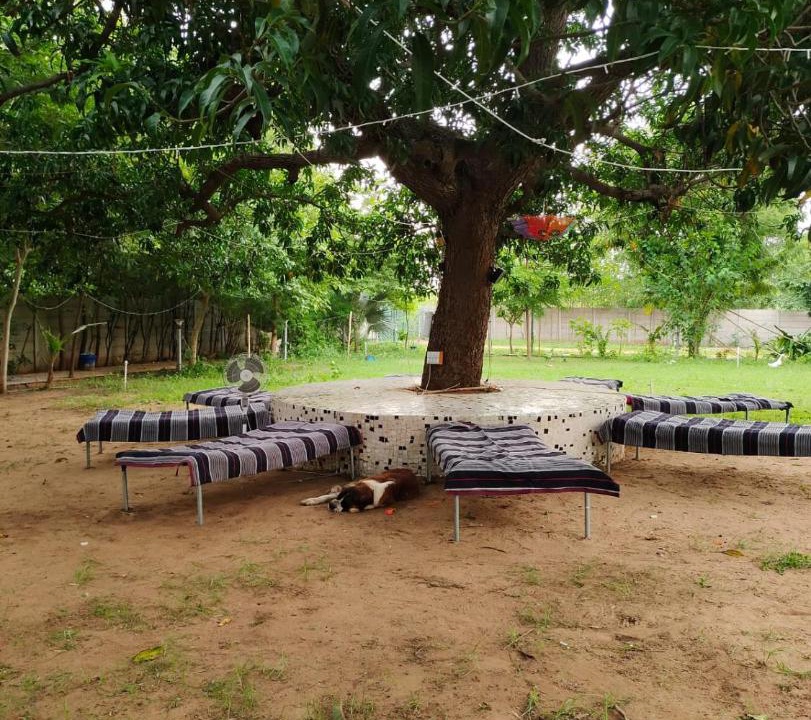 Photo of Outdoor in Kalol