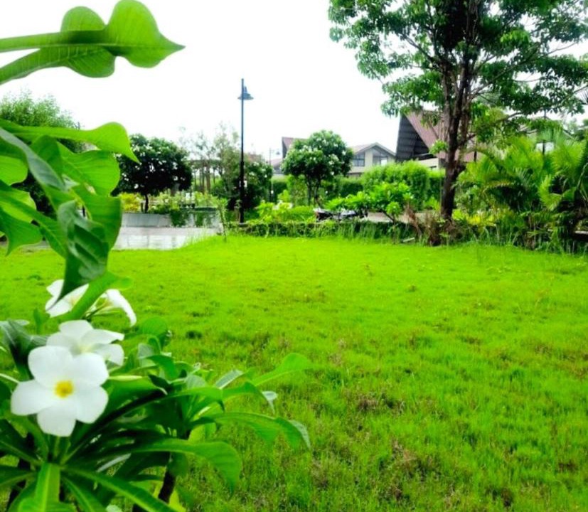 Photo of Outdoor in Navsari