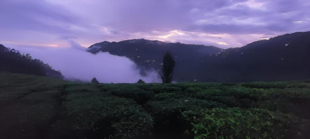 Photo of Others in Kannan Devan Hills