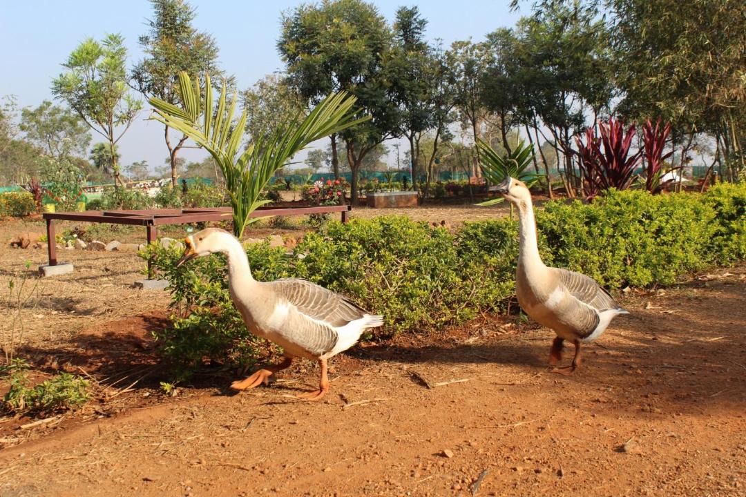 Photo of Others in Baripada