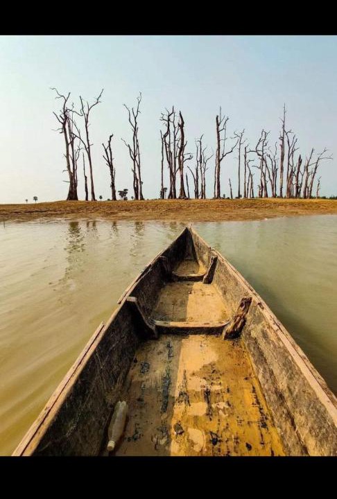 Photo of Human In Picture in Baripada