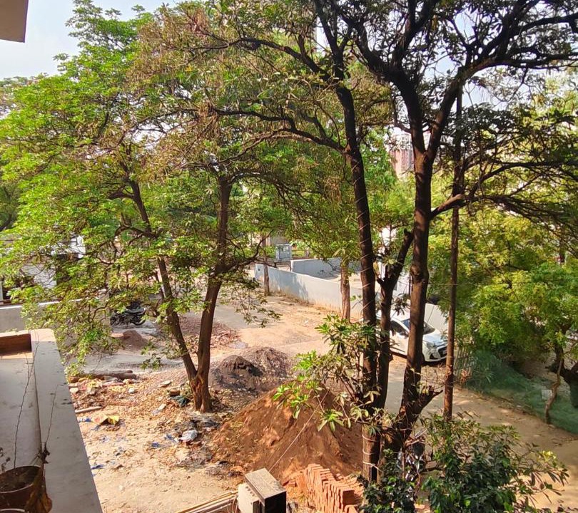 Photo of Others in Greater Noida