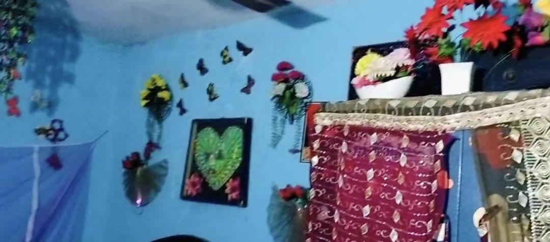 Photo of Bedroom in Pharenda