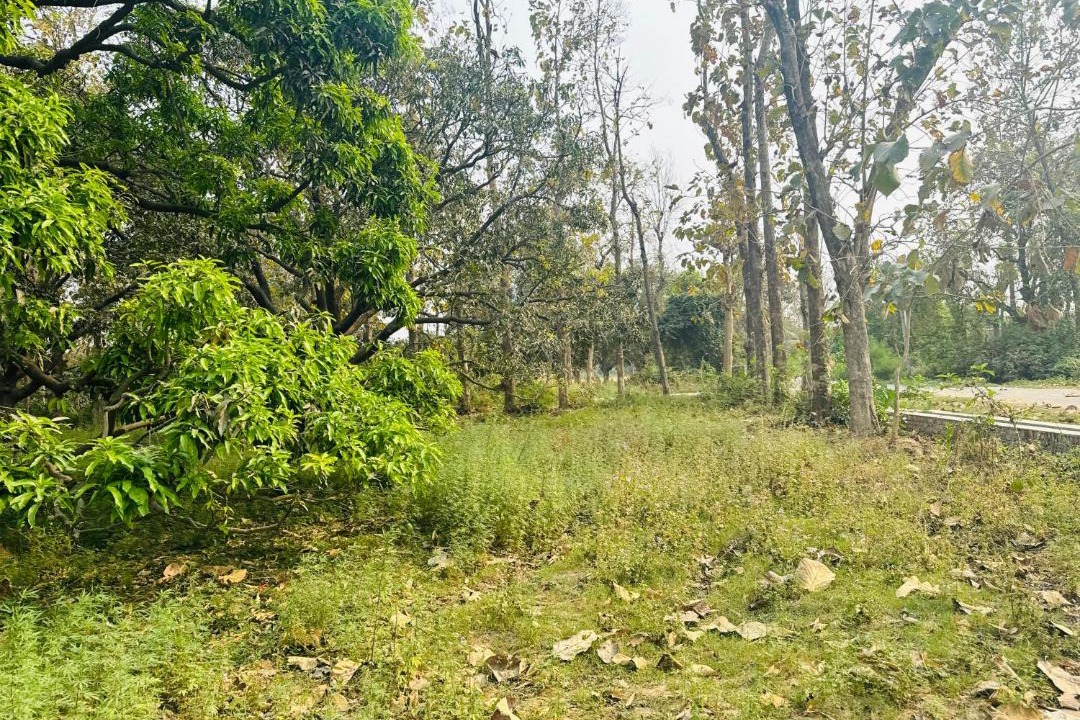 Photo of Outdoor in Maharajganj