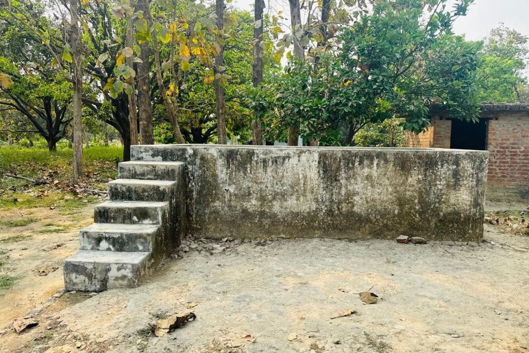 Photo of Others in Maharajganj