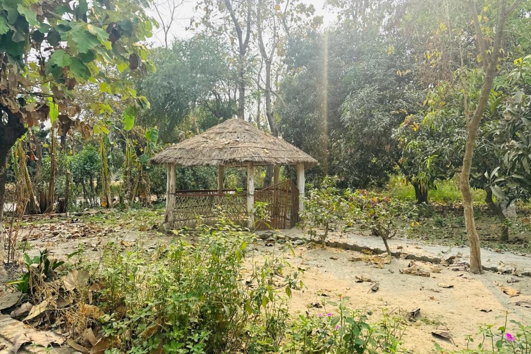 Photo of Others in Maharajganj