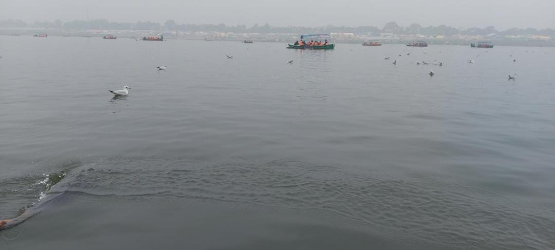 Photo of Human In Picture in Allahabad