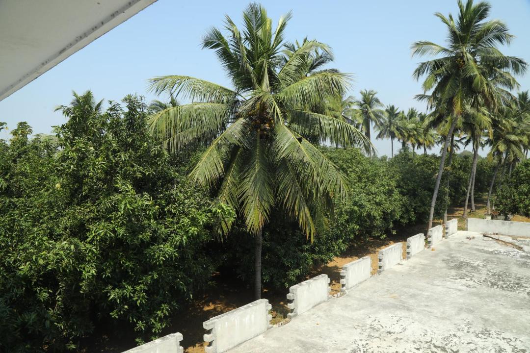 Photo of Others in Uttukkottai