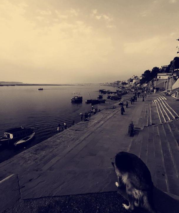 Photo of Others in Varanasi