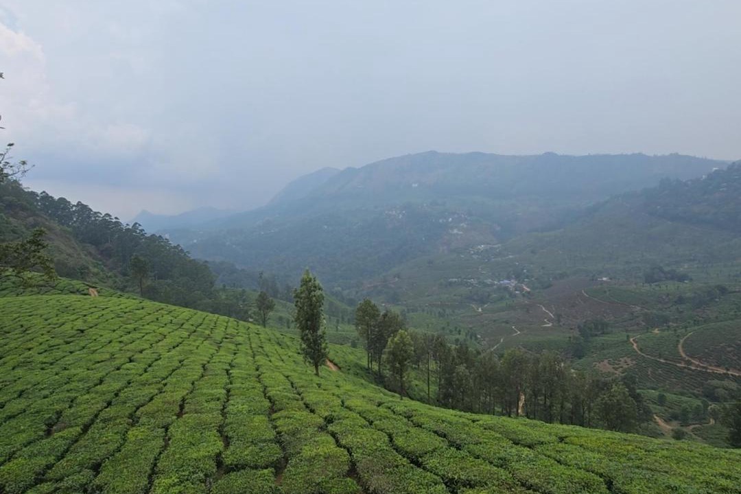 Photo of Others in Kannan Devan Hills