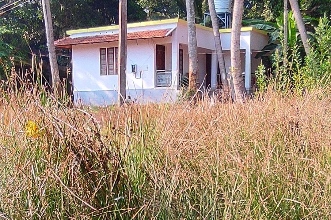 Photo of Others in Munroe Island
