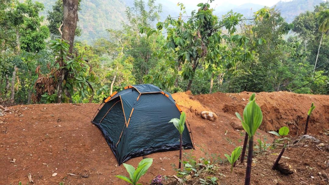 Photo of Outdoor in Todupulai