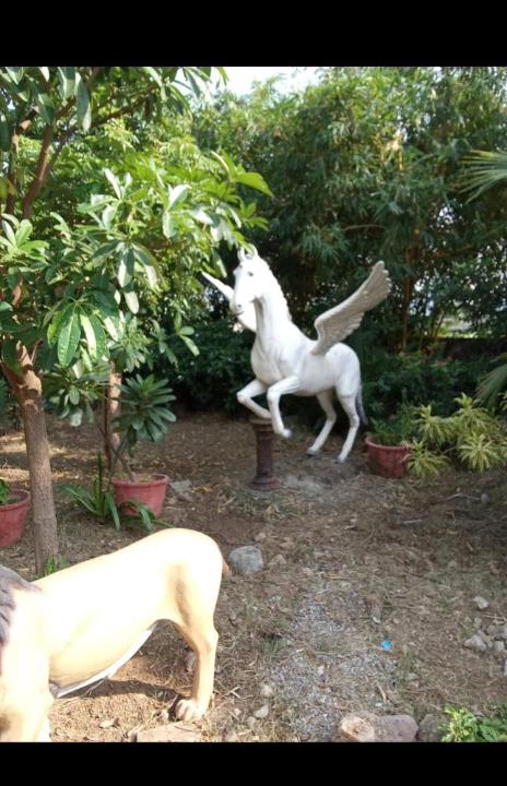 Photo of Others in Gandhinagar
