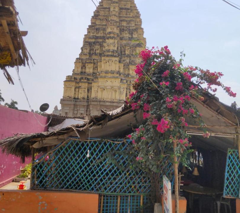 Photo of Others in Hampi
