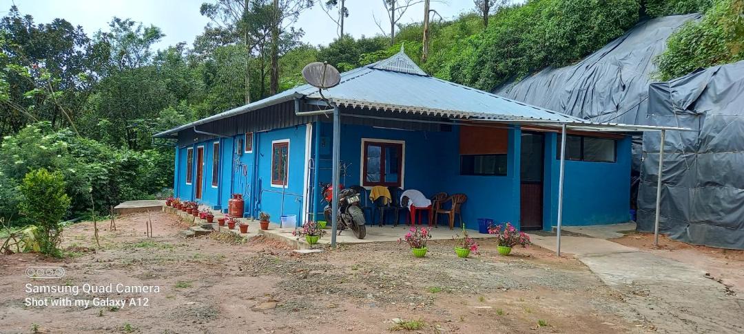 Photo of Others in Munnar