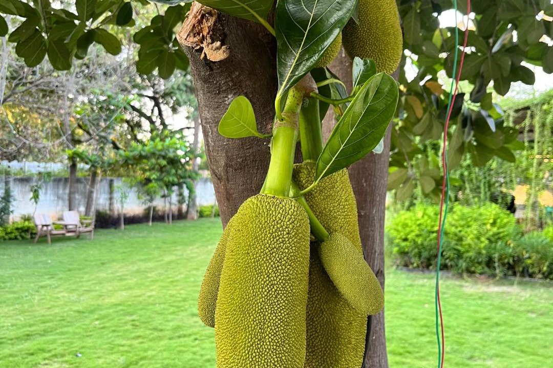 Photo of Outdoor in Hyderabad