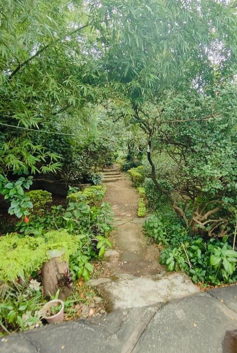 Photo of Outdoor in Mount Abu