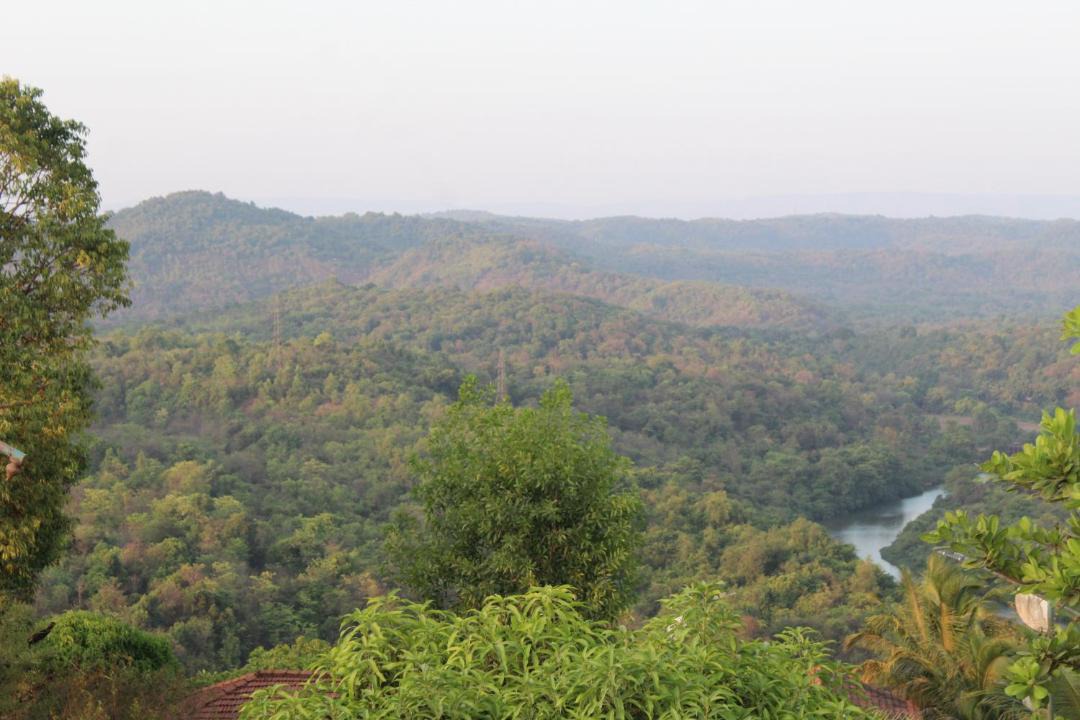 Photo of Others in Lanja