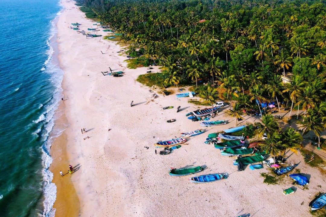 Photo of Others in Mararikulam