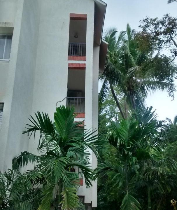 Photo of Buildings in Arpora