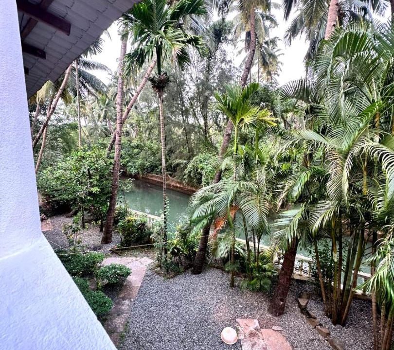 Photo of Others in Agonda
