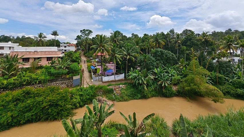 Photo of Others in Nedumangad