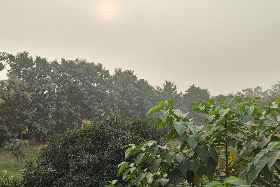 Photo of Others in Sarnath
