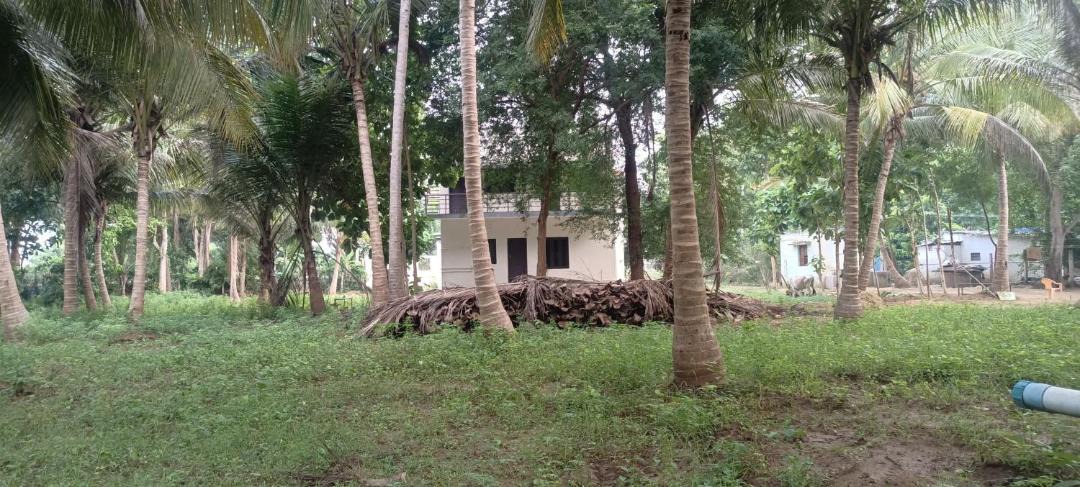 Photo of Others in Papasanam