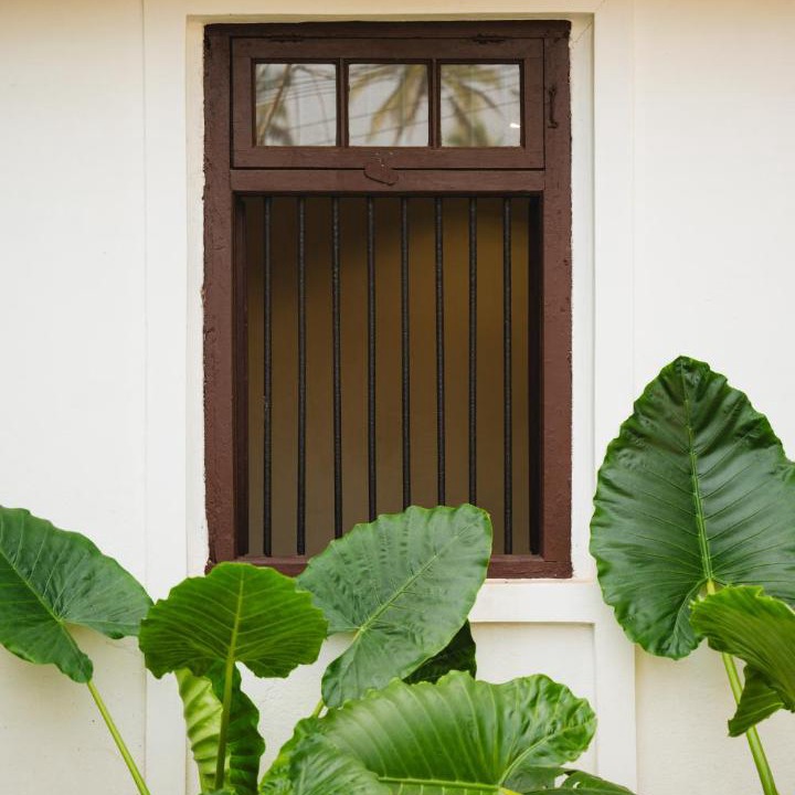 Photo of Others in Mangeshi