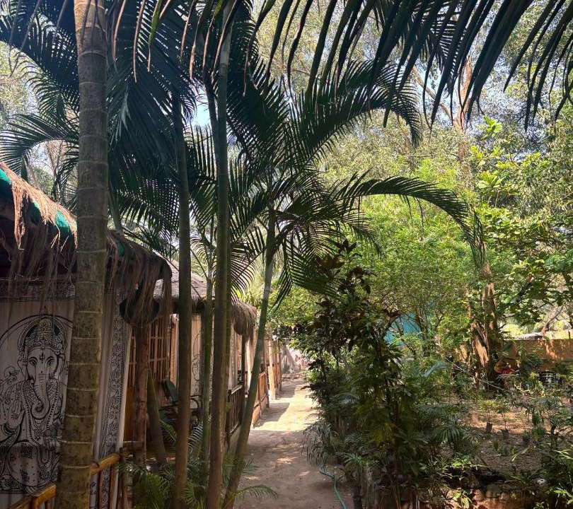 Photo of Others in Canacona