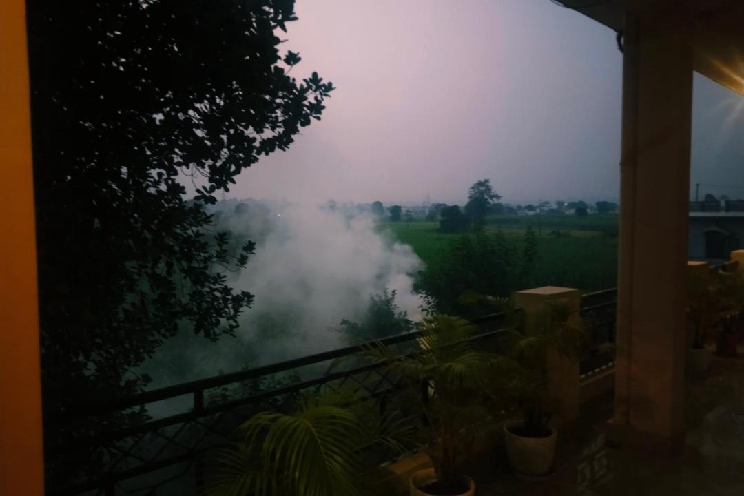 Photo of Others in Dehradun