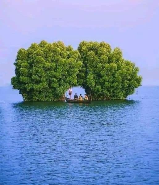 Photo of Others in Munroe Island
