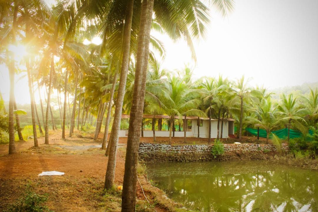 Photo of Others in Patnem