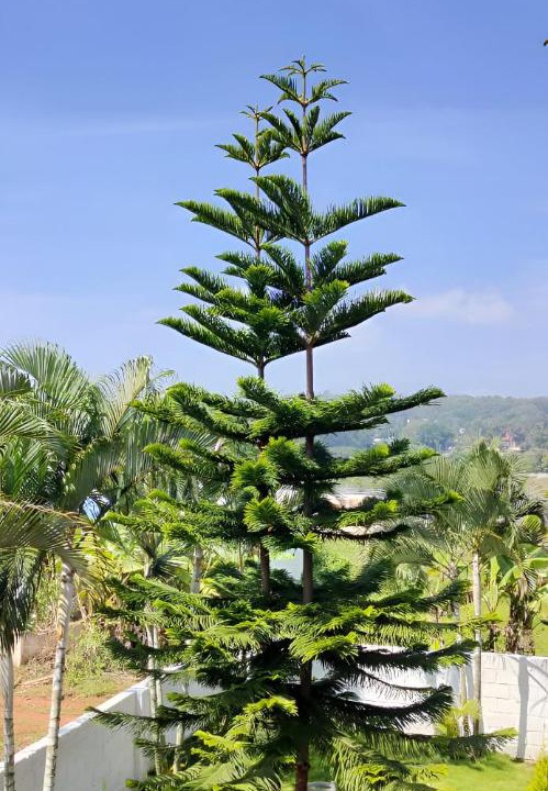 Photo of Others in Yelagiri