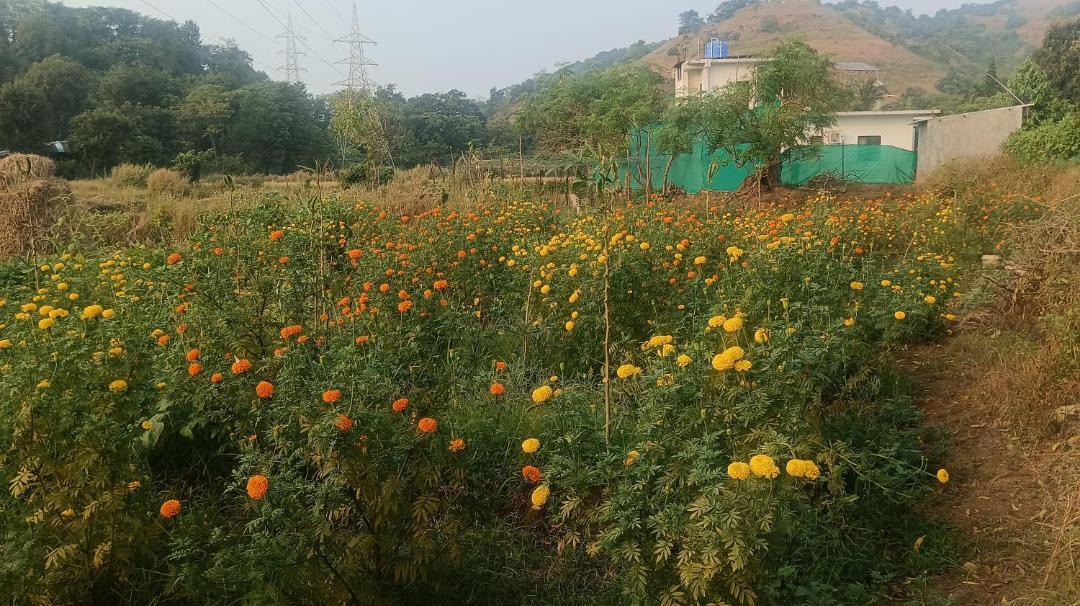 Photo of Outdoor in Chendhare