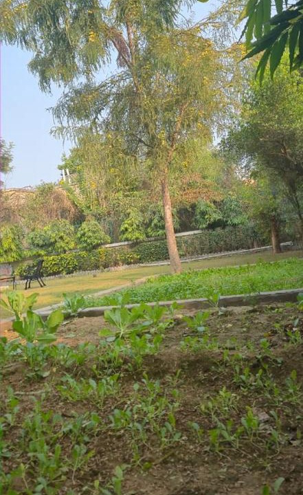 Photo of Outdoor in Bhiwadi