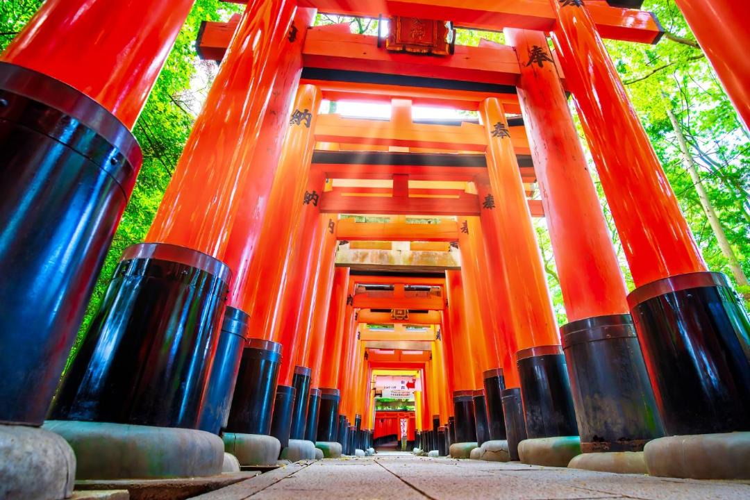 Photo of Others in Fushimi
