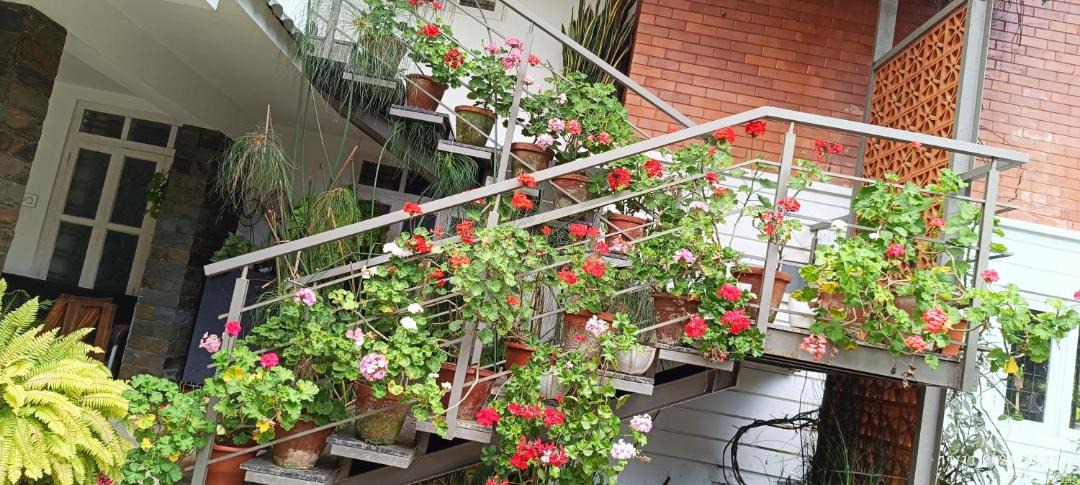Photo of Patio Balcony in Devikolam