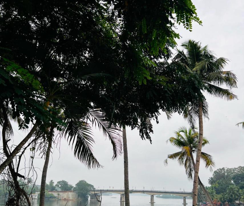 Photo of Others in Kollam