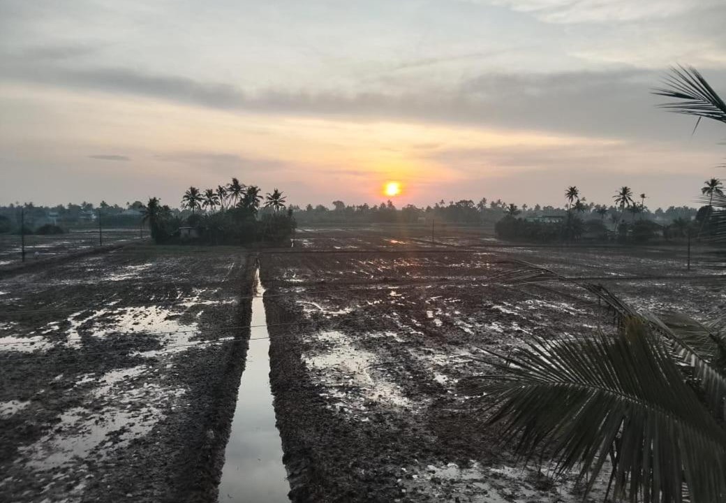 Photo of Others in Alappuzha