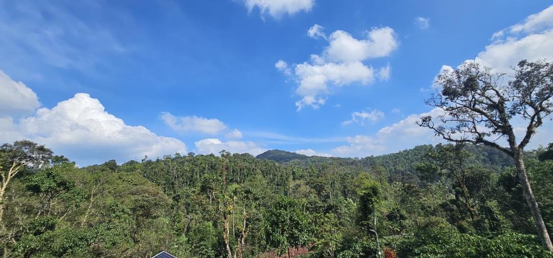 Photo of Outdoor in Virarajendrapet