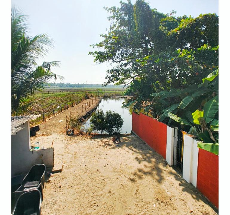 Photo of Others in Kumarakom